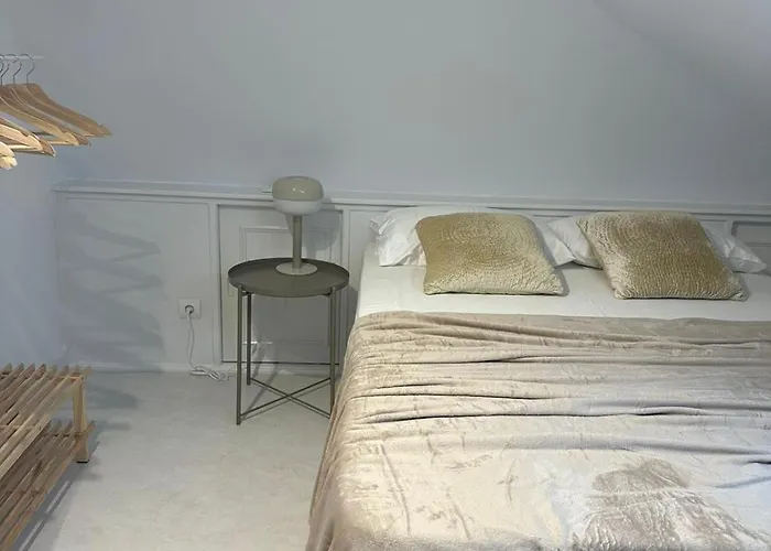 Design With Garage Daire Santander